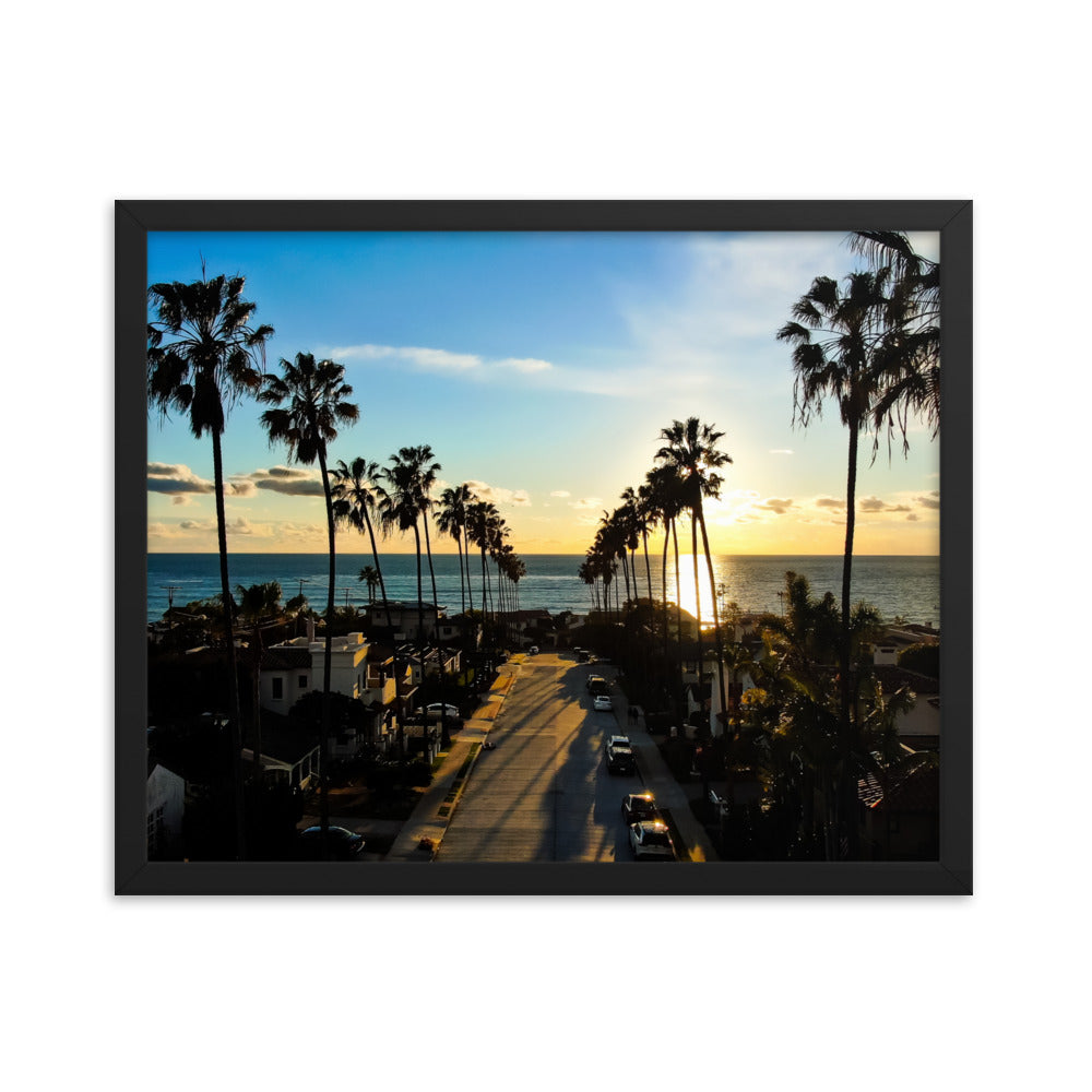 Palm Tree Road Framed poster