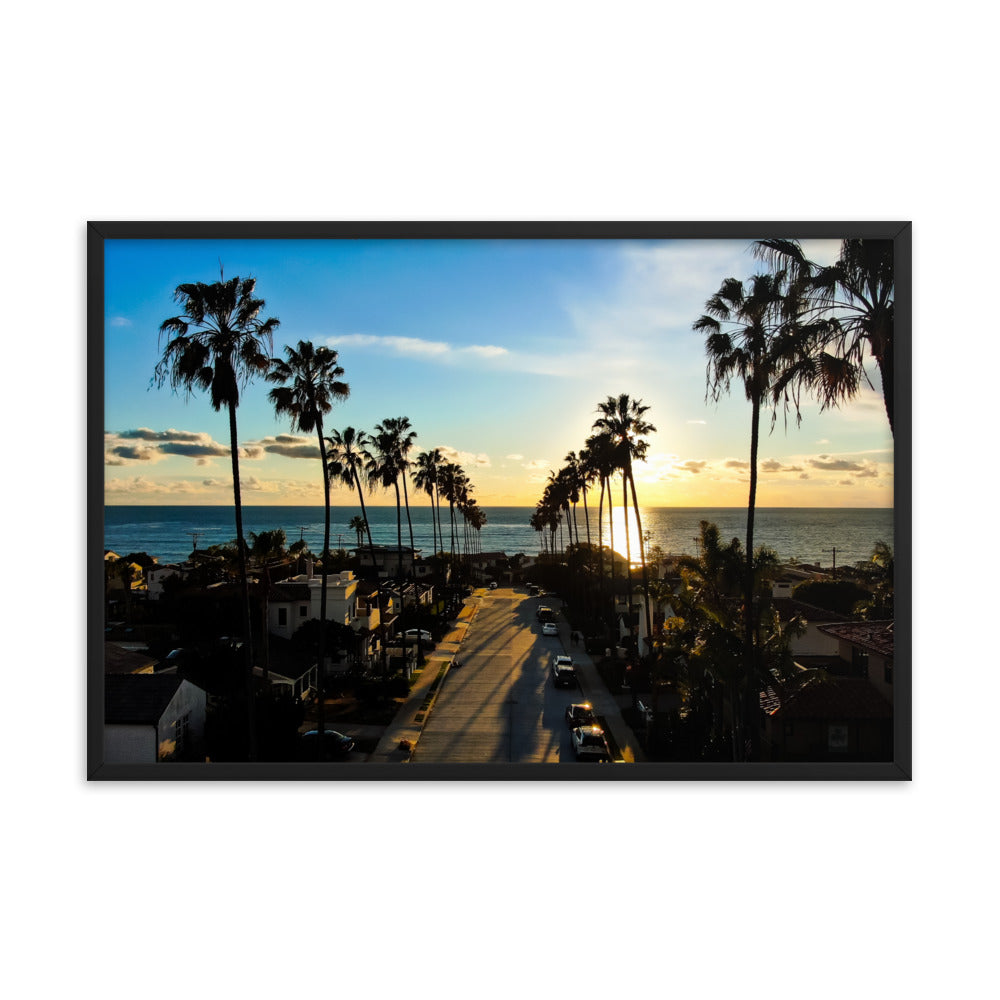 Palm Tree Road Framed poster