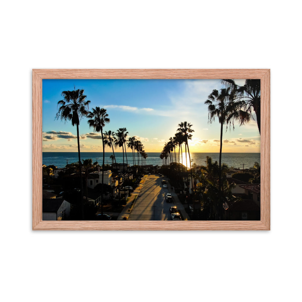 Palm Tree Road Framed poster