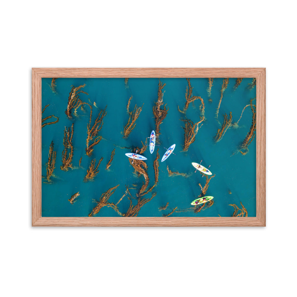 Kayaking In Kelp Framed poster