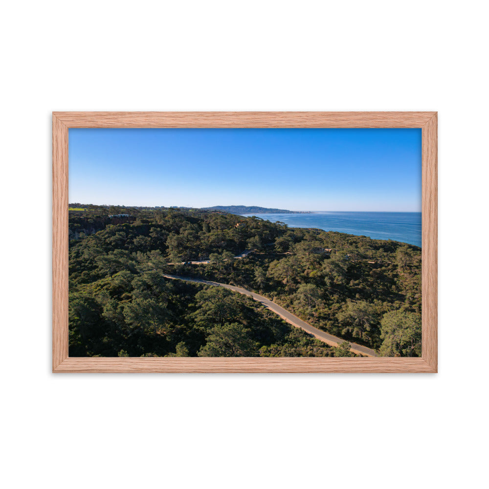 Road To Torrey Pines Framed poster