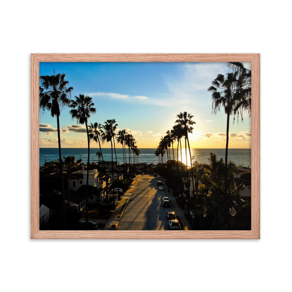 Palm Tree Road Framed poster