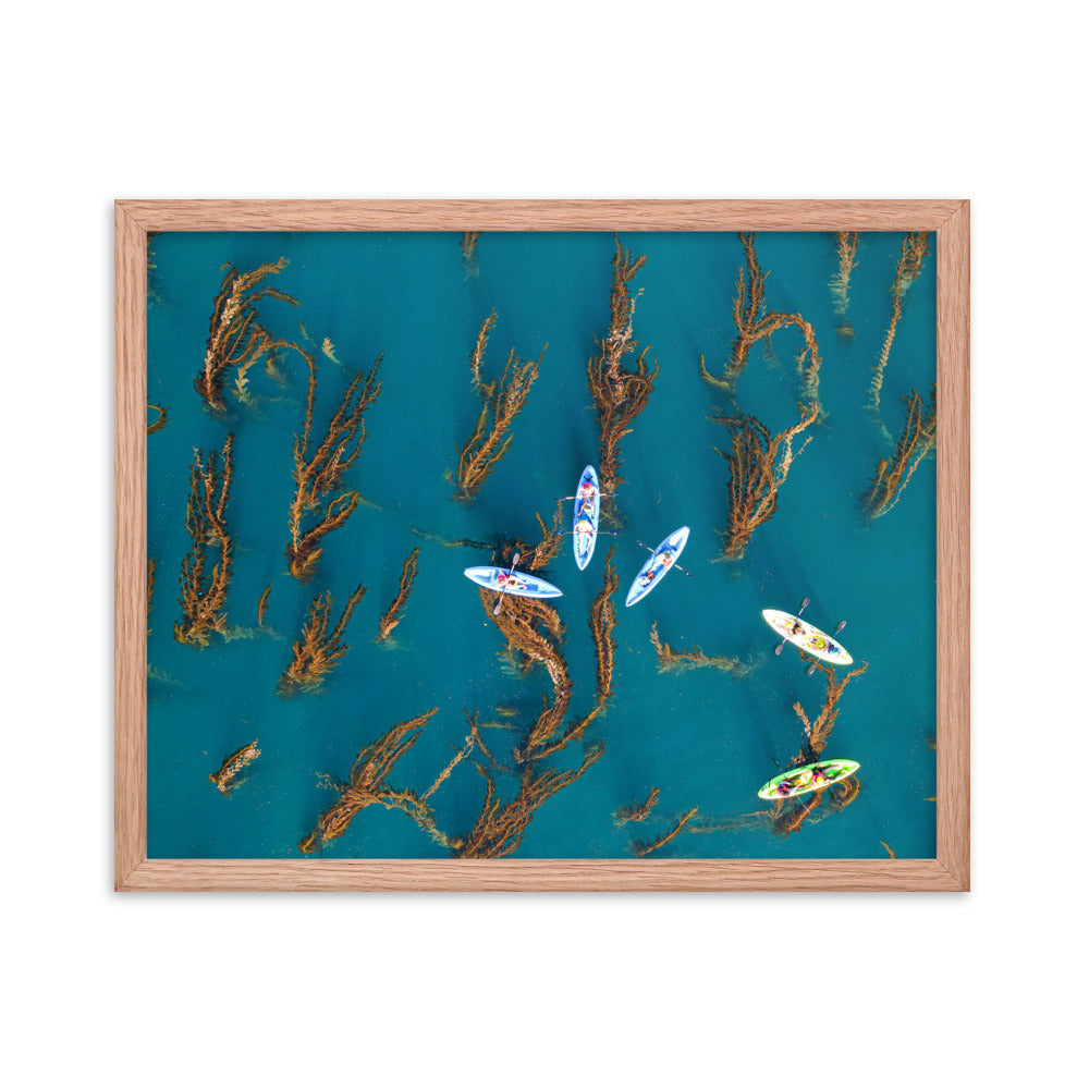 Kayaking In Kelp Framed poster