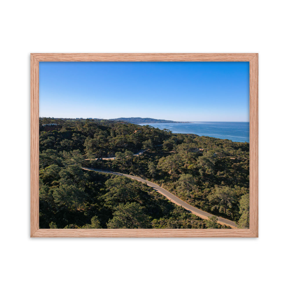 Road To Torrey Pines Framed poster