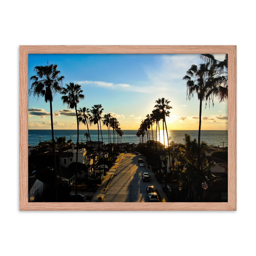 Palm Tree Road Framed poster