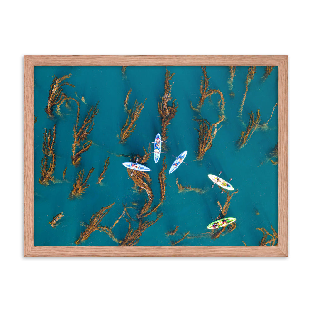 Kayaking In Kelp Framed poster