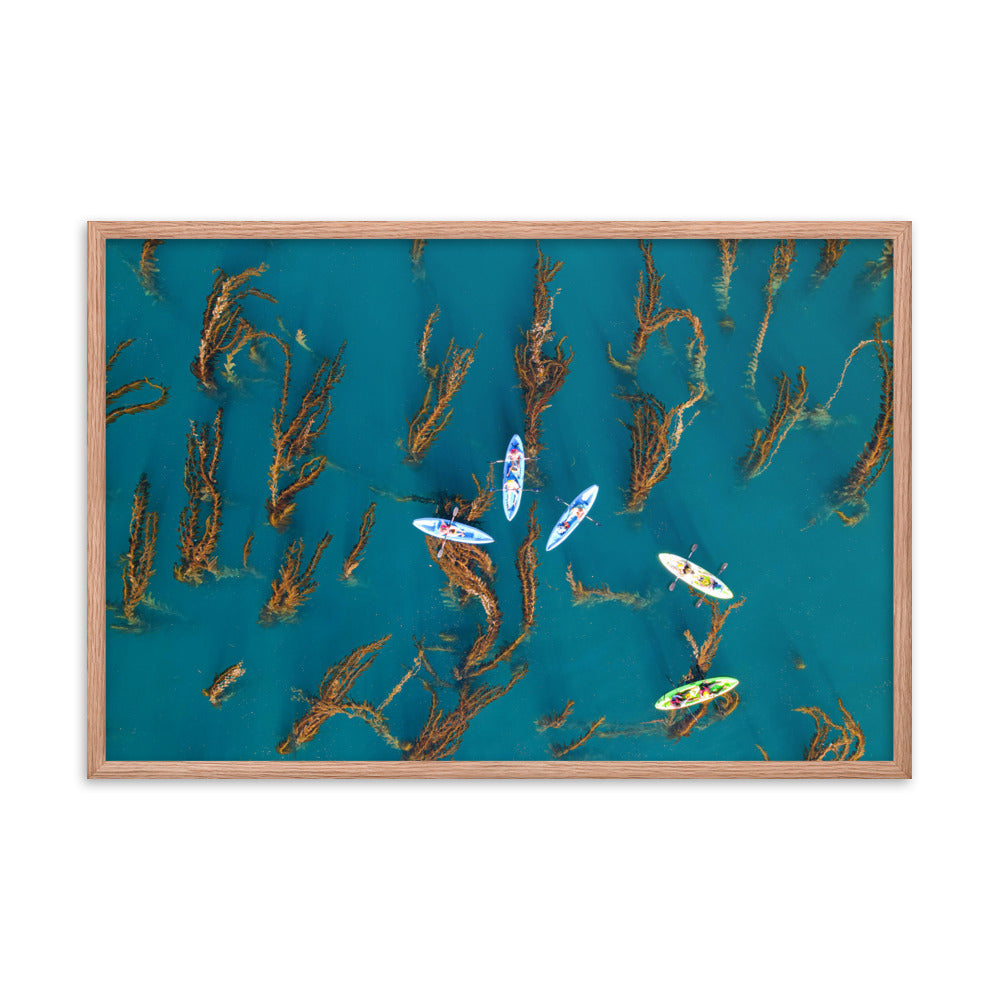 Kayaking In Kelp Framed poster