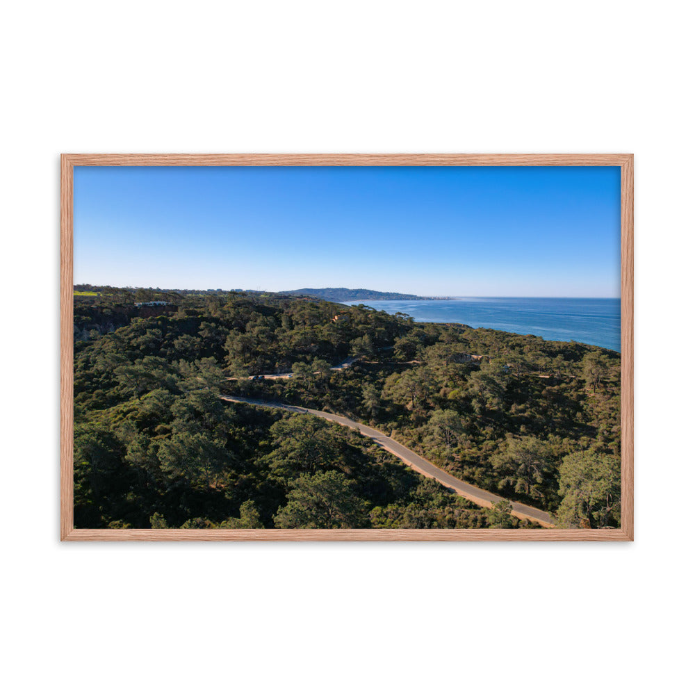 Road To Torrey Pines Framed poster