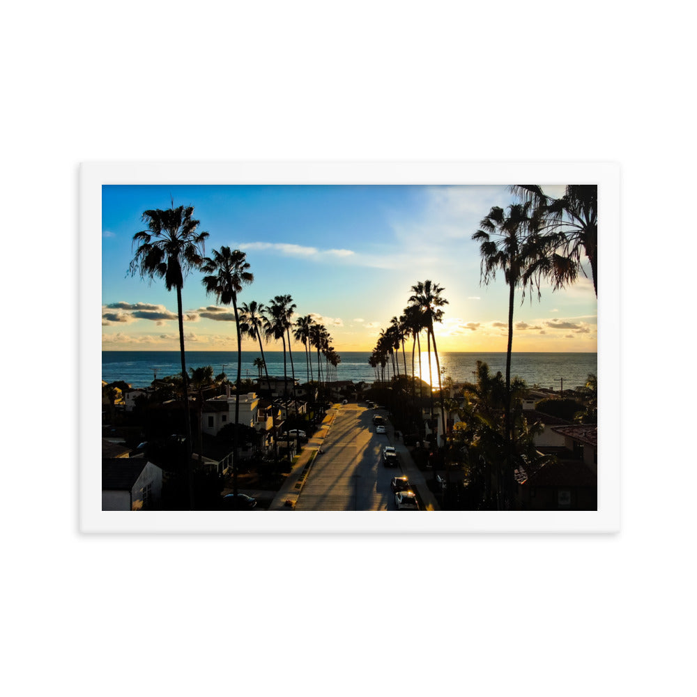 Palm Tree Road Framed poster