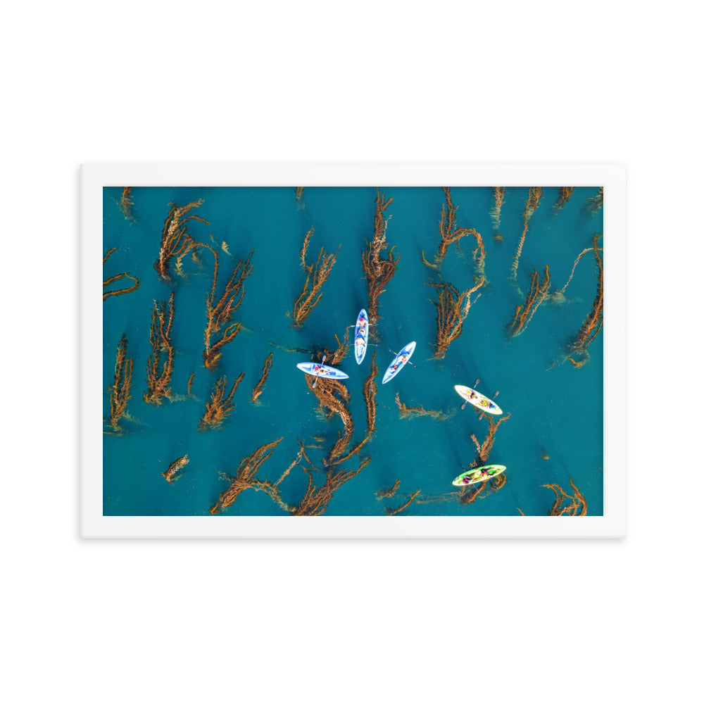 Kayaking In Kelp Framed poster