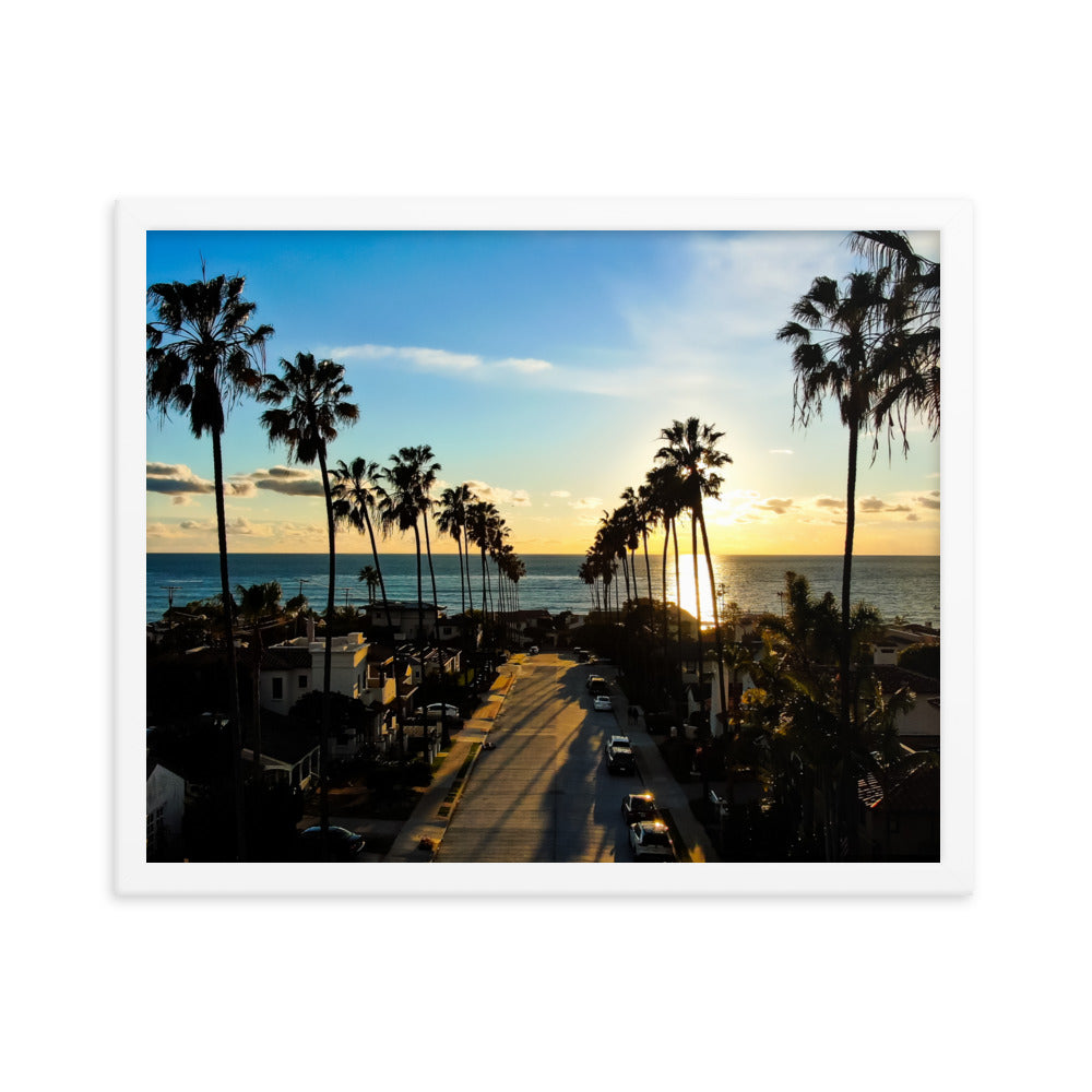 Palm Tree Road Framed poster