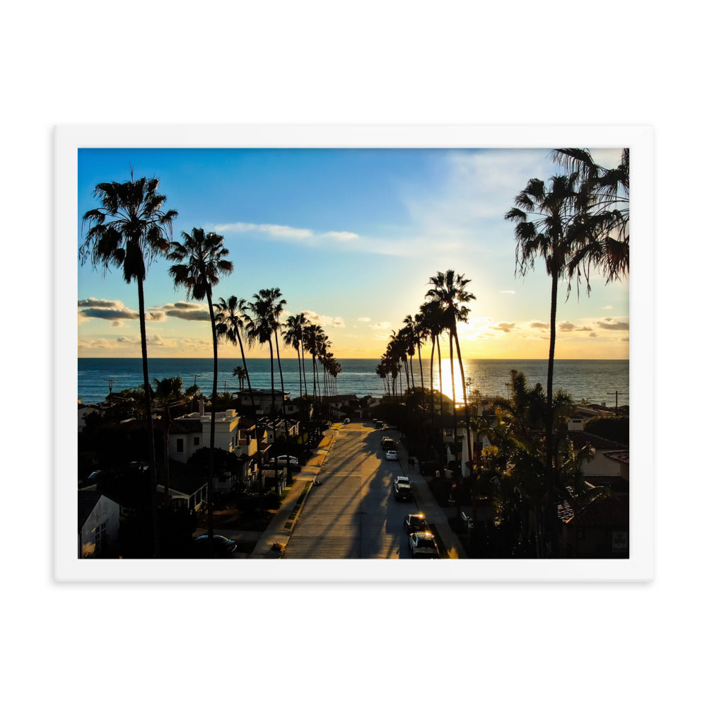 Palm Tree Road Framed poster