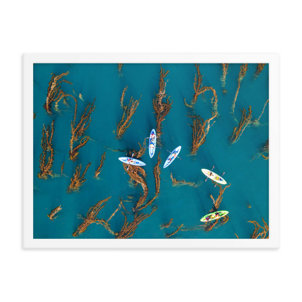 Kayaking In Kelp Framed poster