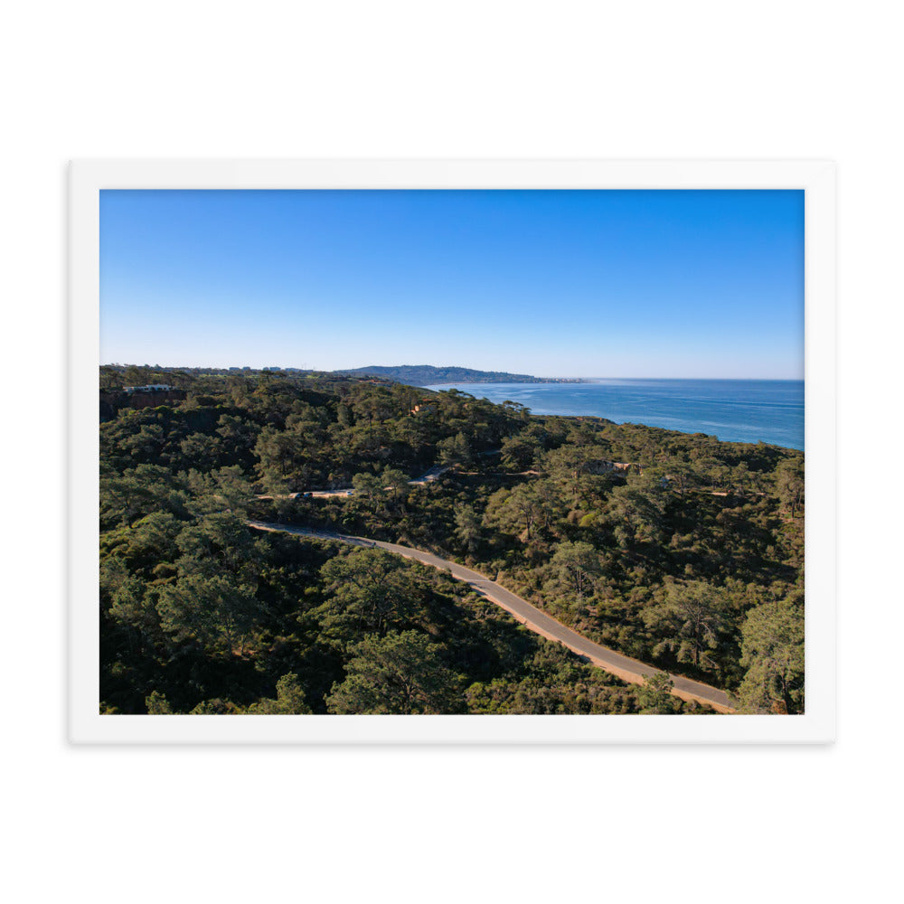 Road To Torrey Pines Framed poster