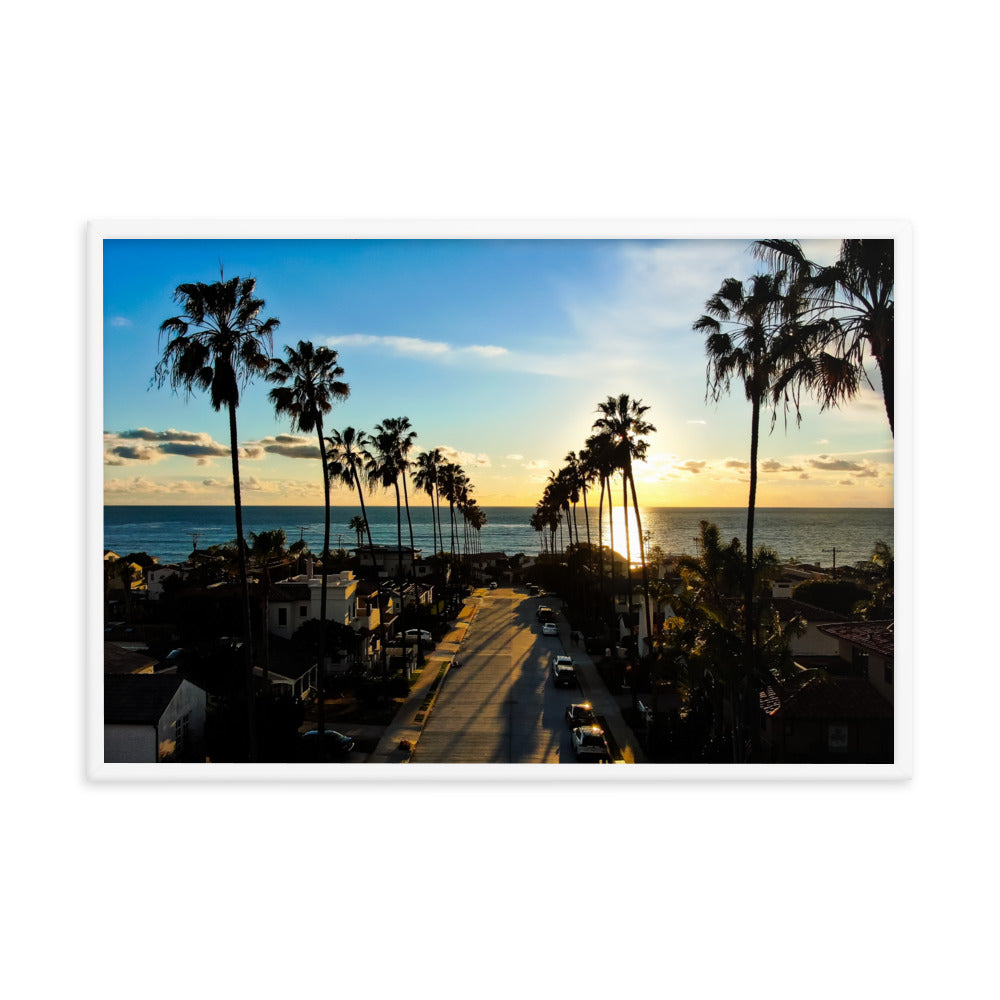 Palm Tree Road Framed poster