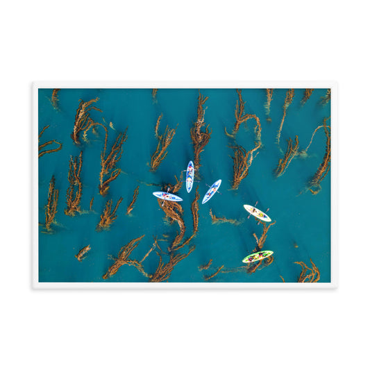 Kayaking In Kelp Framed poster